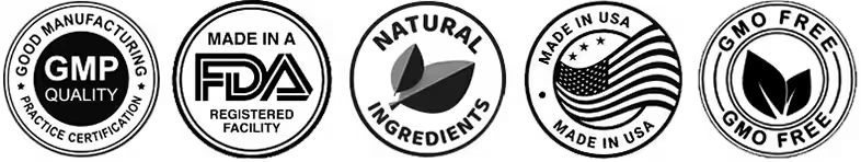 Certification Badges